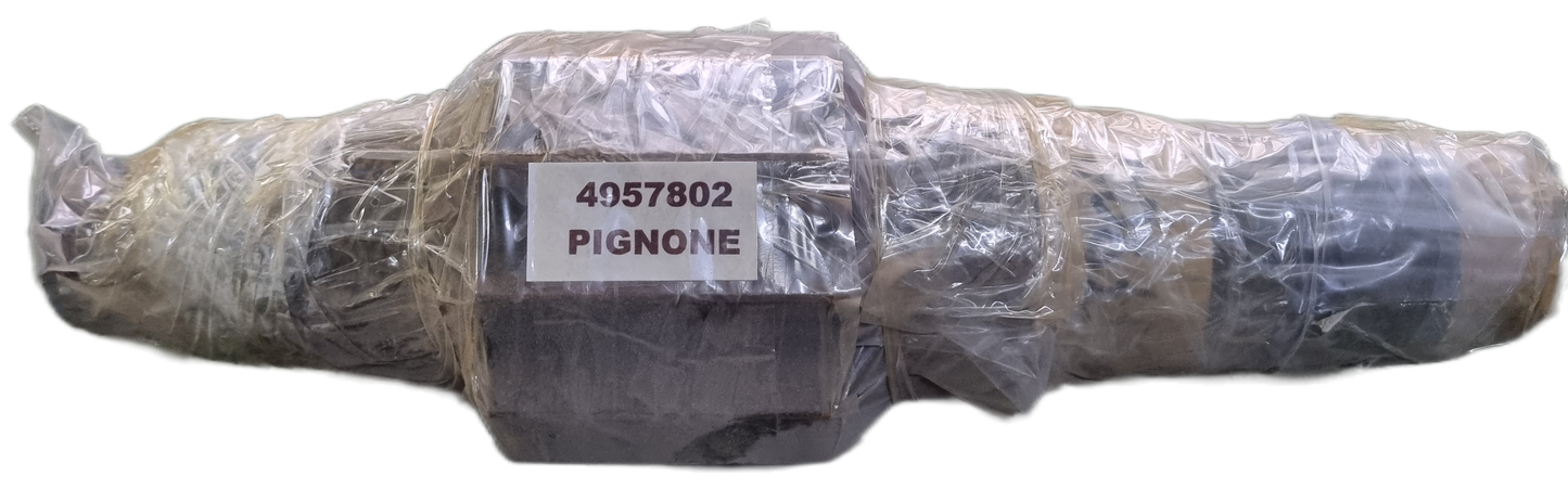 4957802 - Albero Pignone CNH