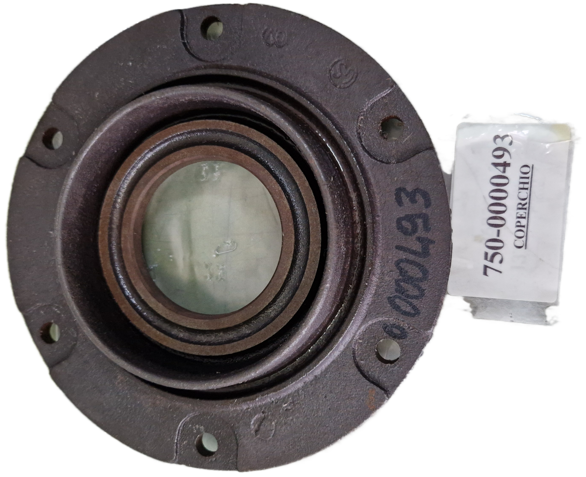 00000493 - Coperchio GOLDONI