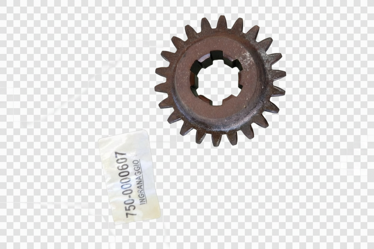 00000607 - Ingranaggio Fisso GOLDONI