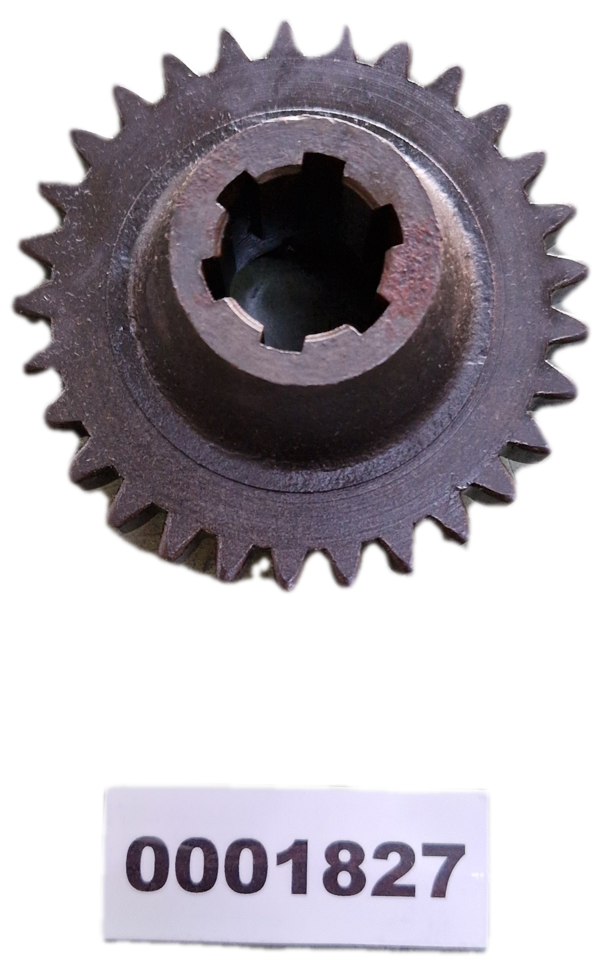 00001827 - Ingranaggio GOLDONI