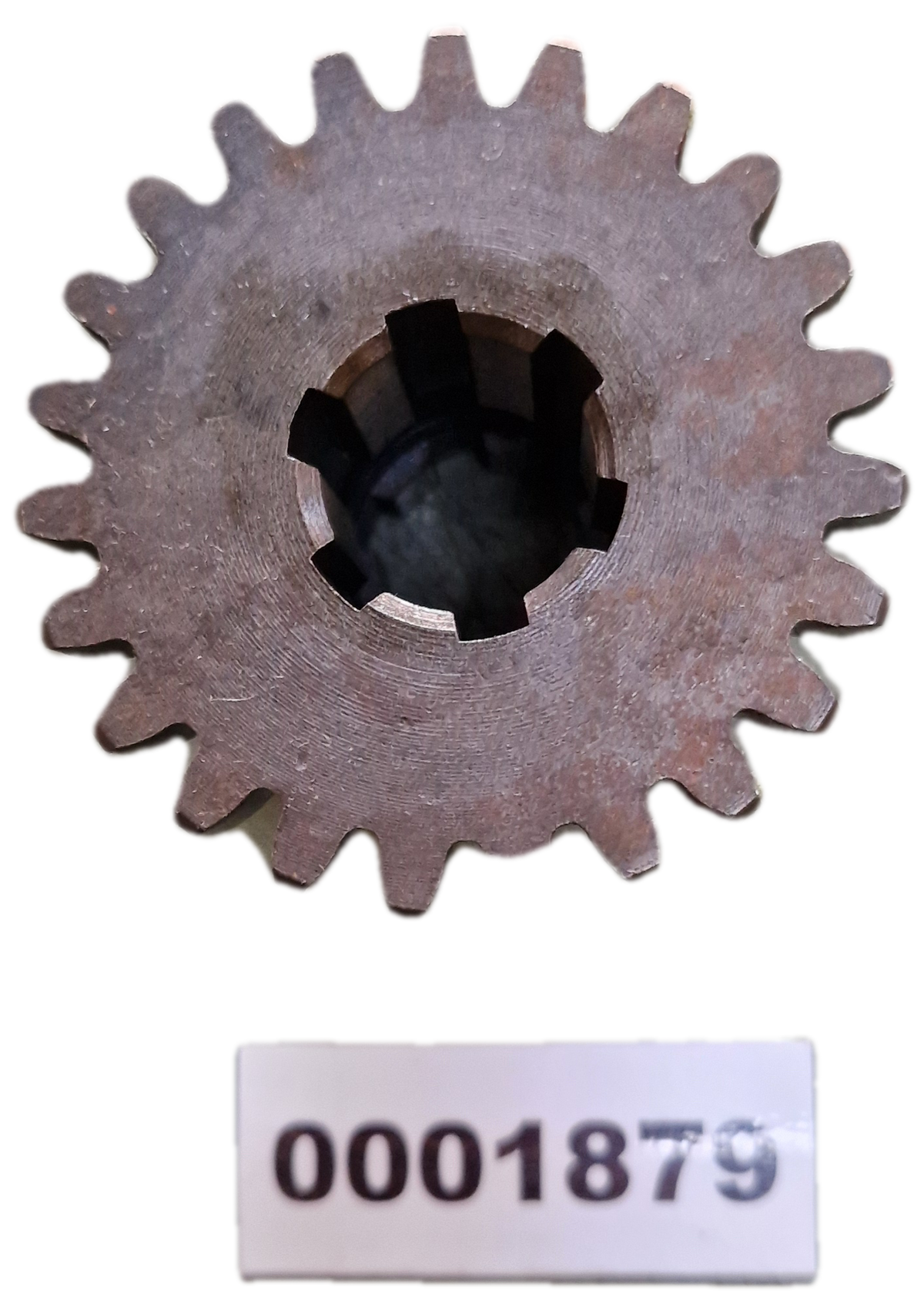00001879 - Ingranaggio GOLDONI