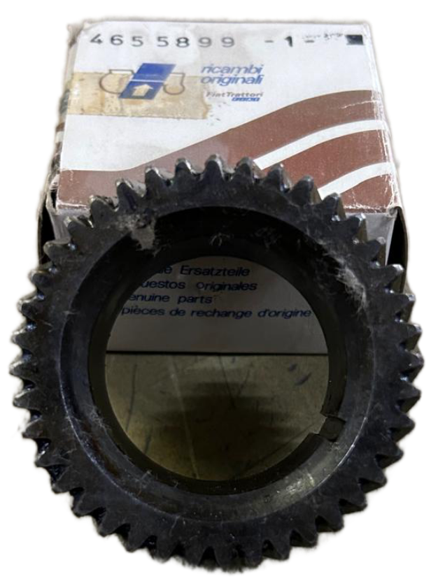 4655899 - Ingranaggio Albero FIAT Z40