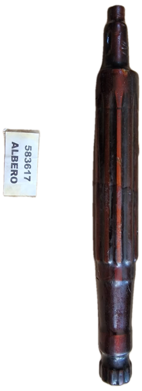 583617 - Albero CNH
