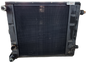 3.19860.0.0 Radiatore Benfra