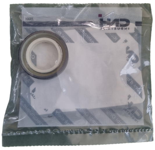 47129342 - Paraolio CNH