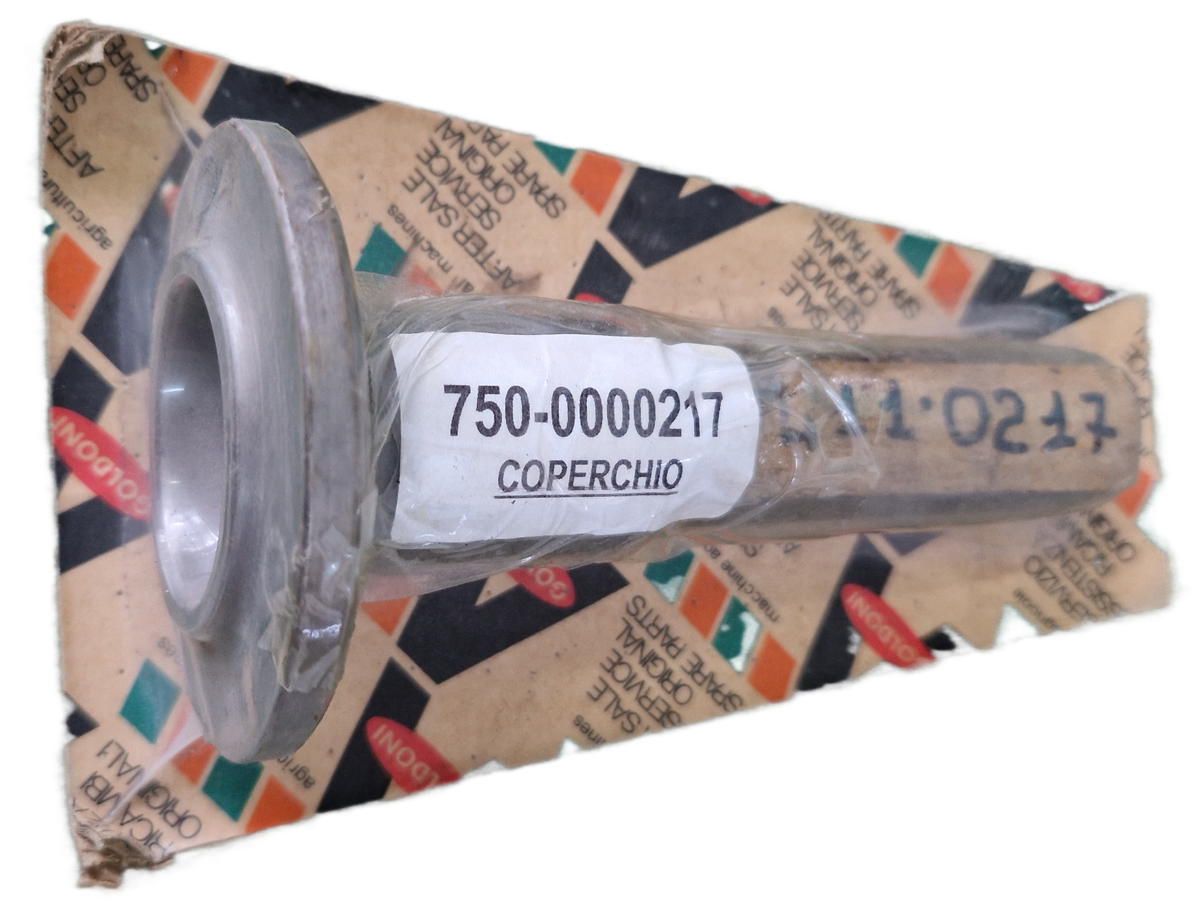 00000217 - Coperchio GOLDONI