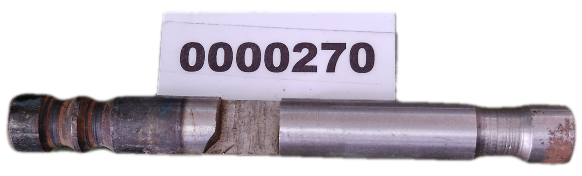 00000270 - Asta Di Selezione GOLDONI