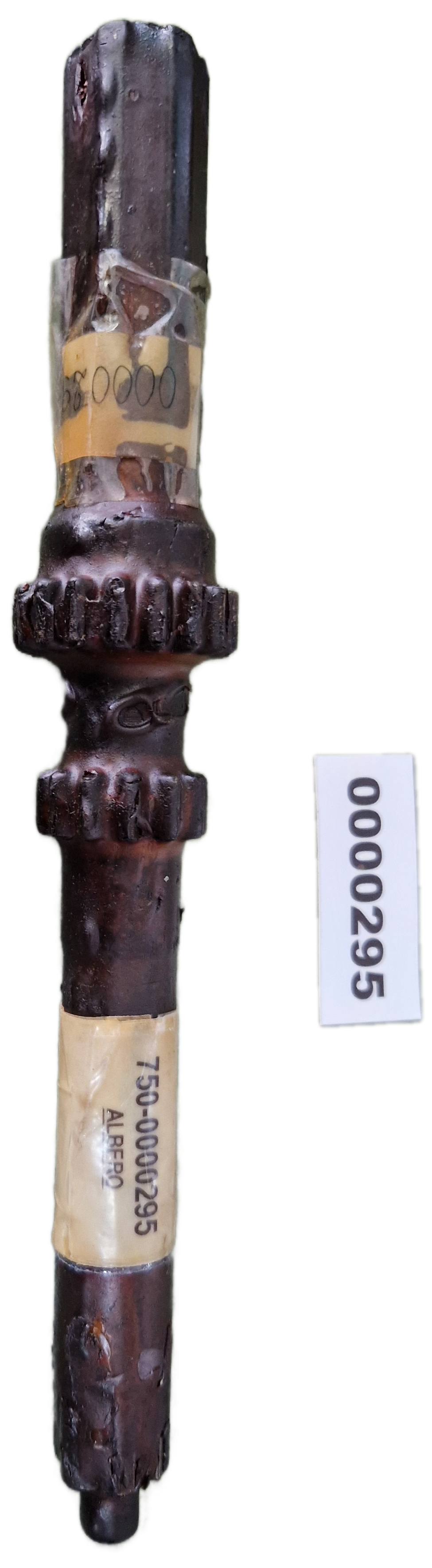 00000295 - Albero GOLDONI