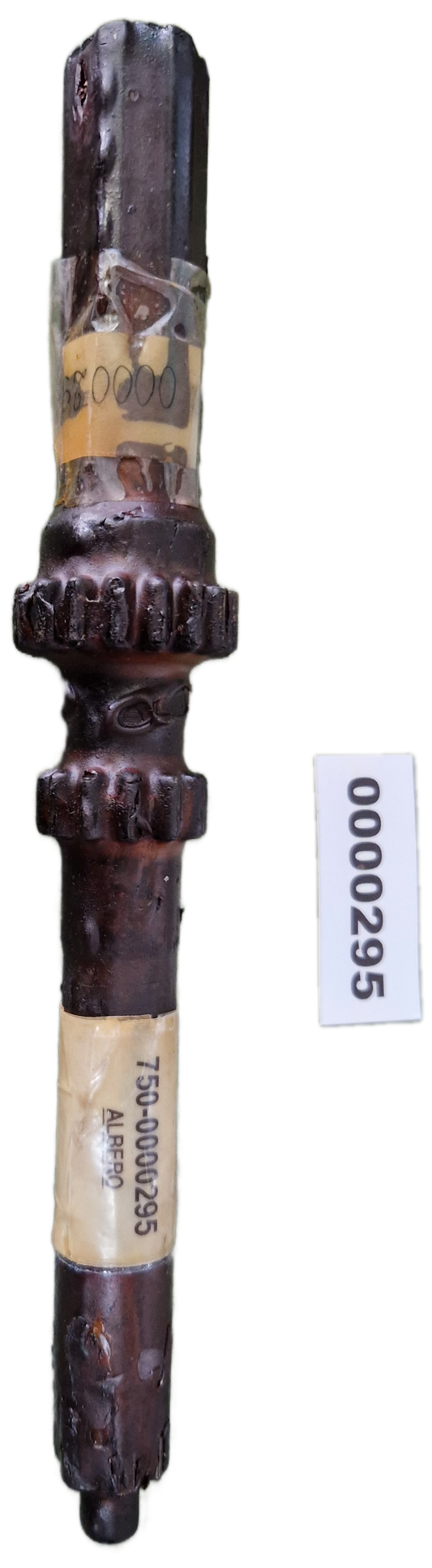 00000295 - Albero GOLDONI