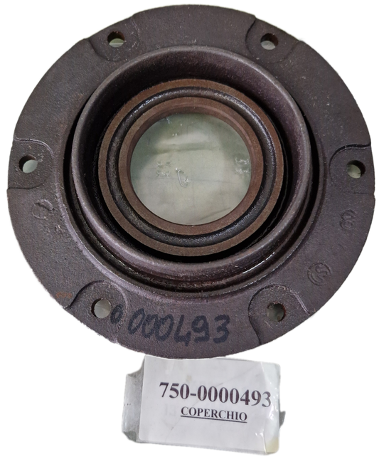 00000493 - Coperchio GOLDONI
