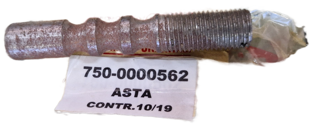 00000562 - Asta GOLDONI