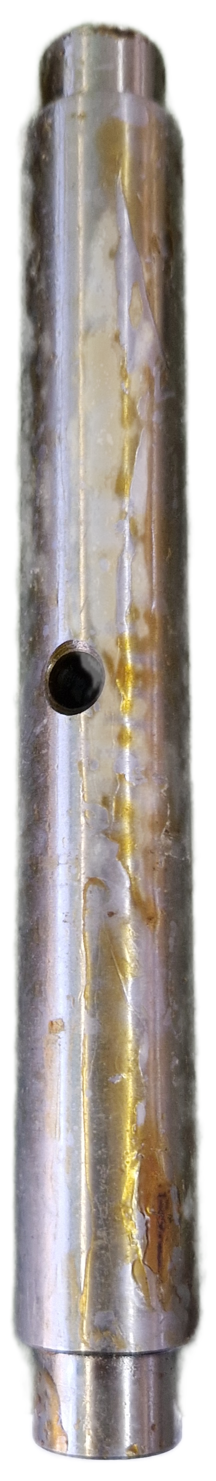 00000587 - Albero GOLDONI