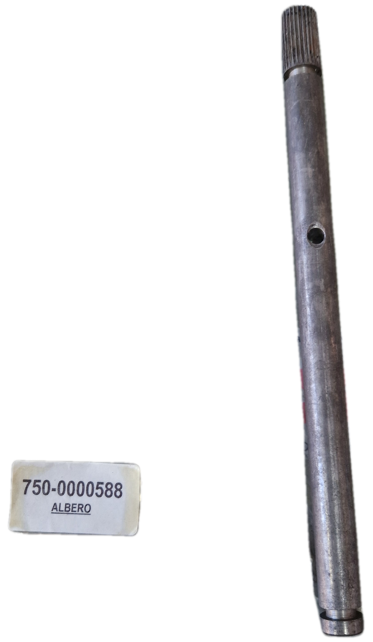 00000588 - Albero GOLDONI