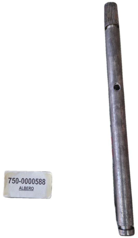00000588 - Albero GOLDONI