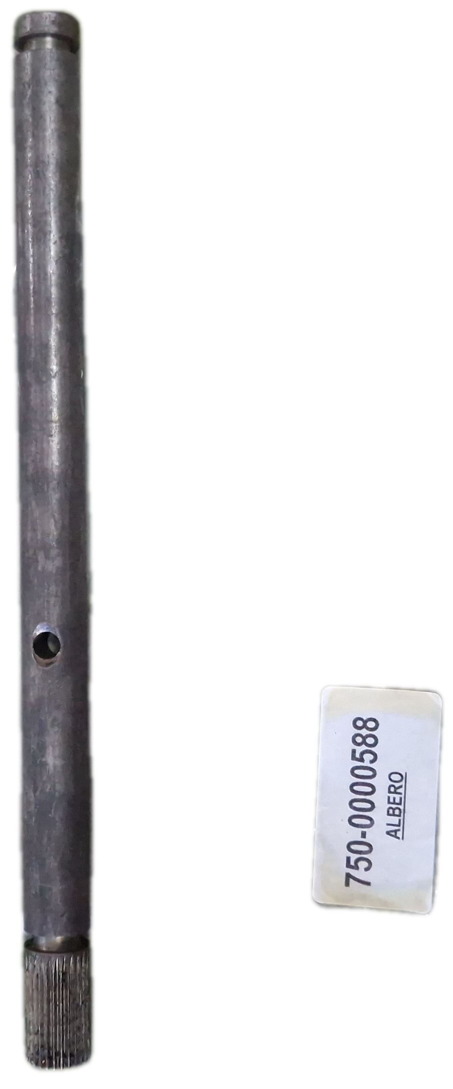 00000588 - Albero GOLDONI