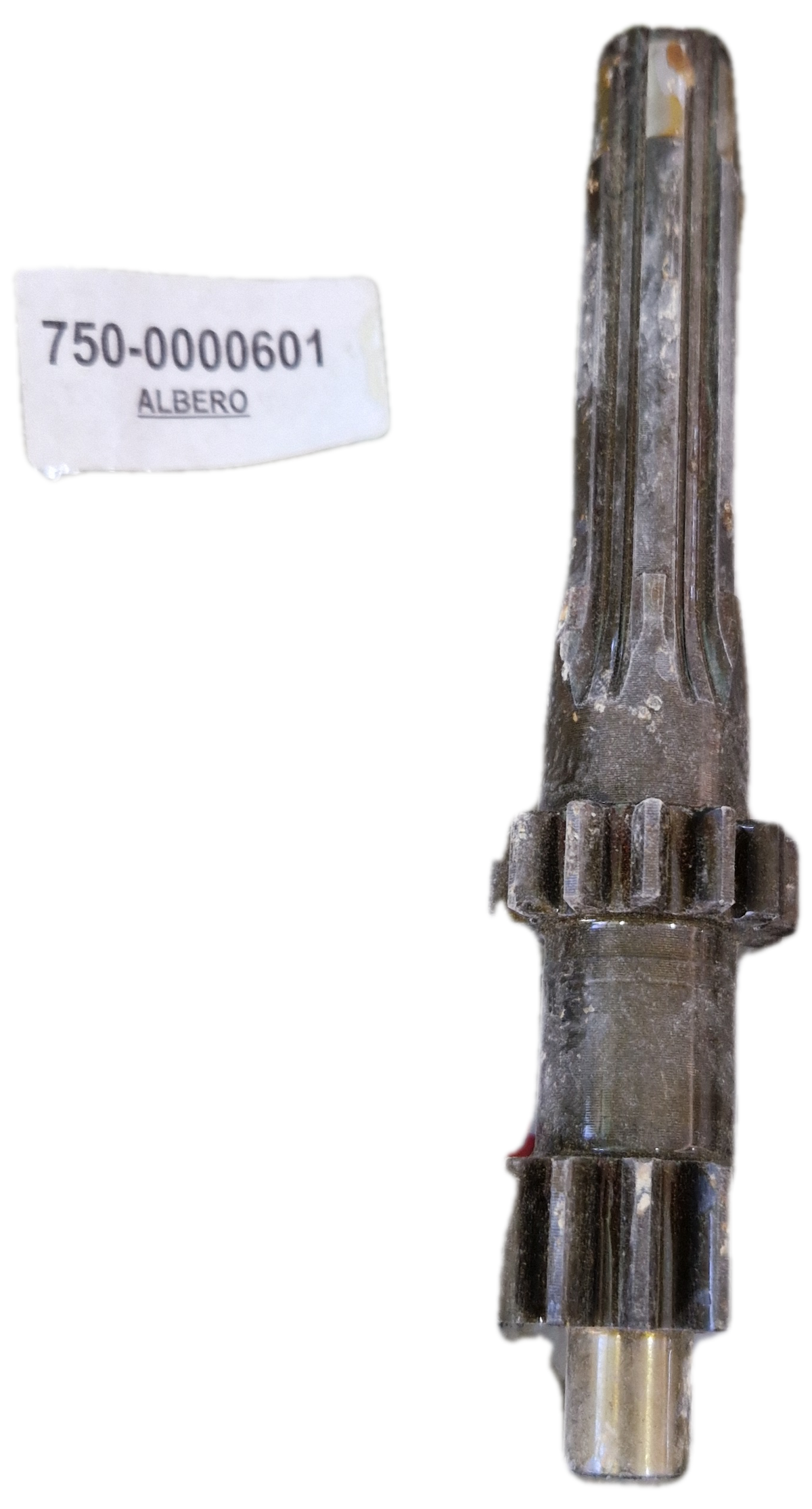 00000601 - Albero Di Rinvio GOLDONI
