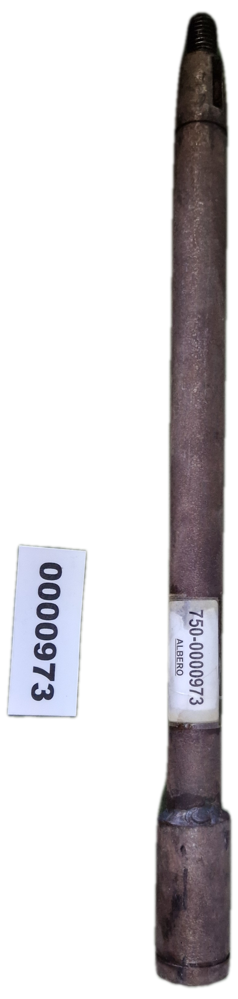 00000973 - Albero GOLDONI