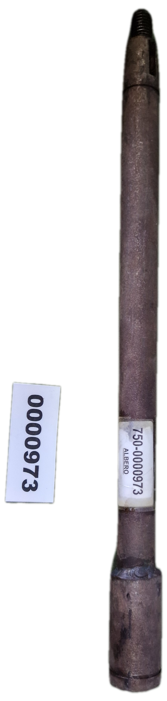 00000973 - Albero GOLDONI
