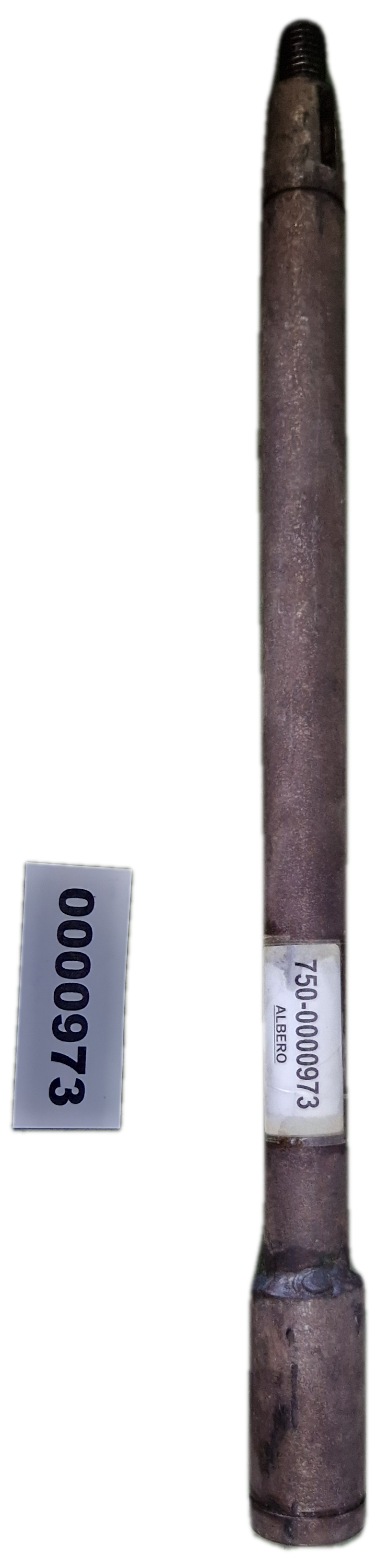 00000973 - Albero GOLDONI