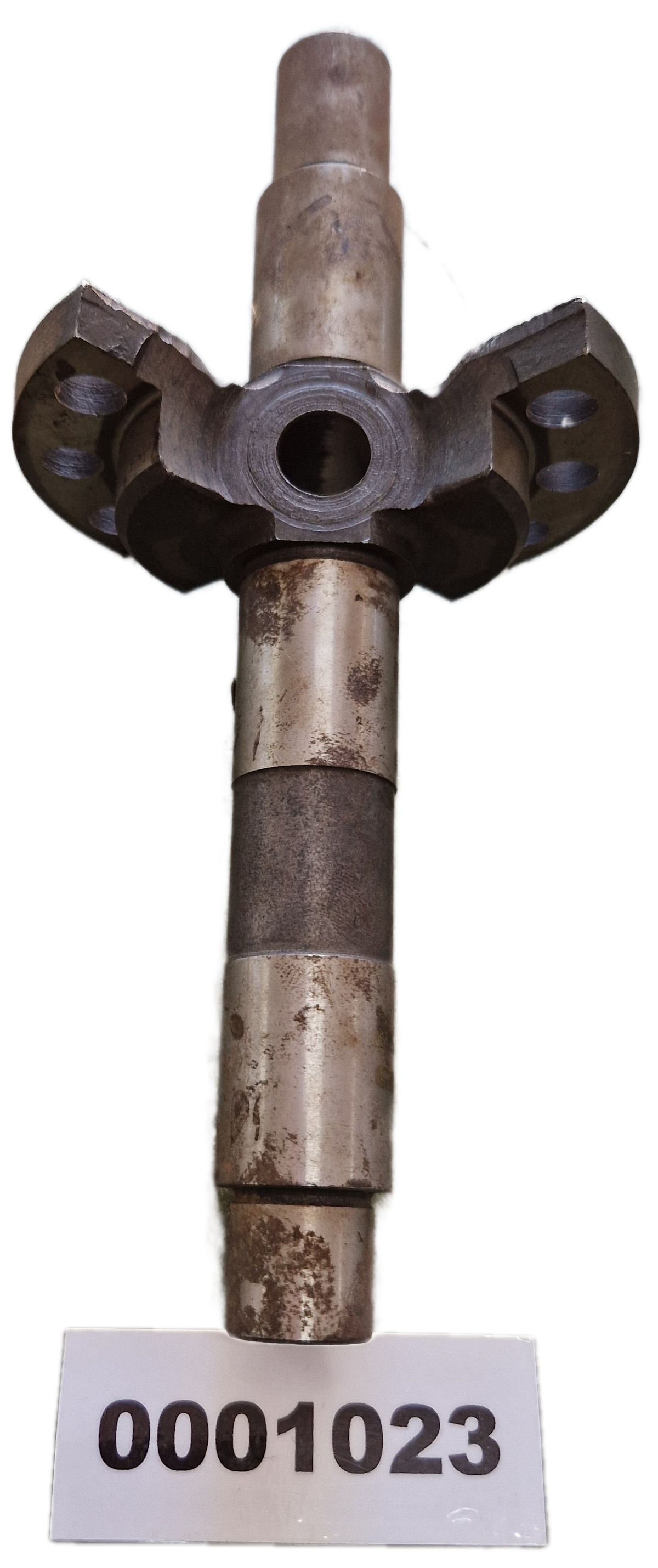 00001023 - Albero GOLDONI