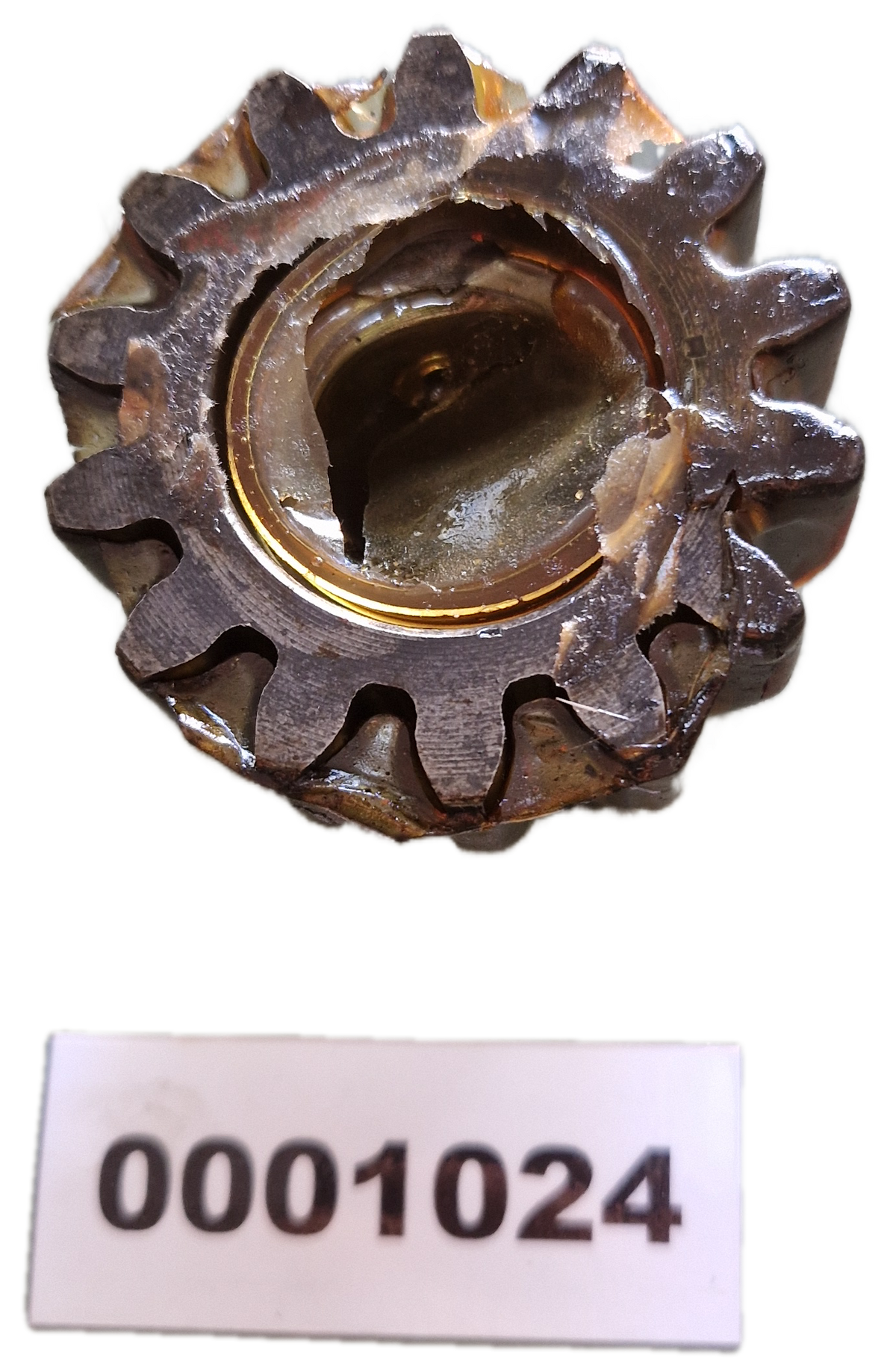 00001024 - Ingranaggio GOLDONI