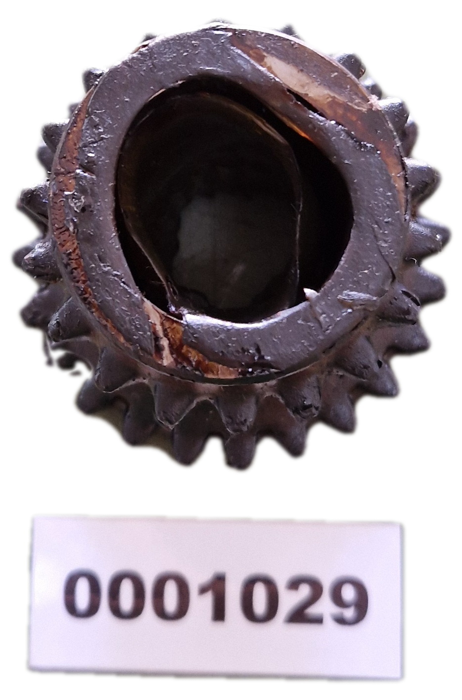 00001029 - Ingranaggio GOLDONI