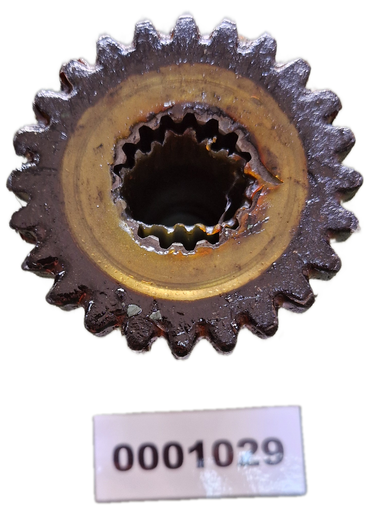 00001029 - Ingranaggio GOLDONI