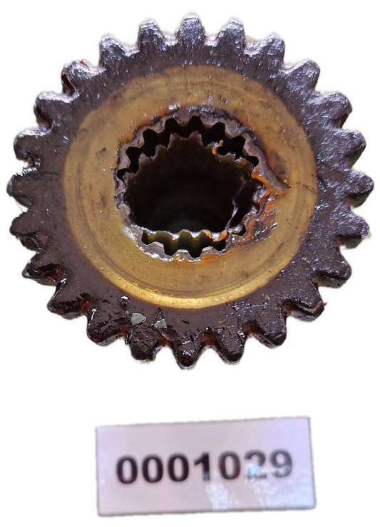 00001029 - Ingranaggio GOLDONI