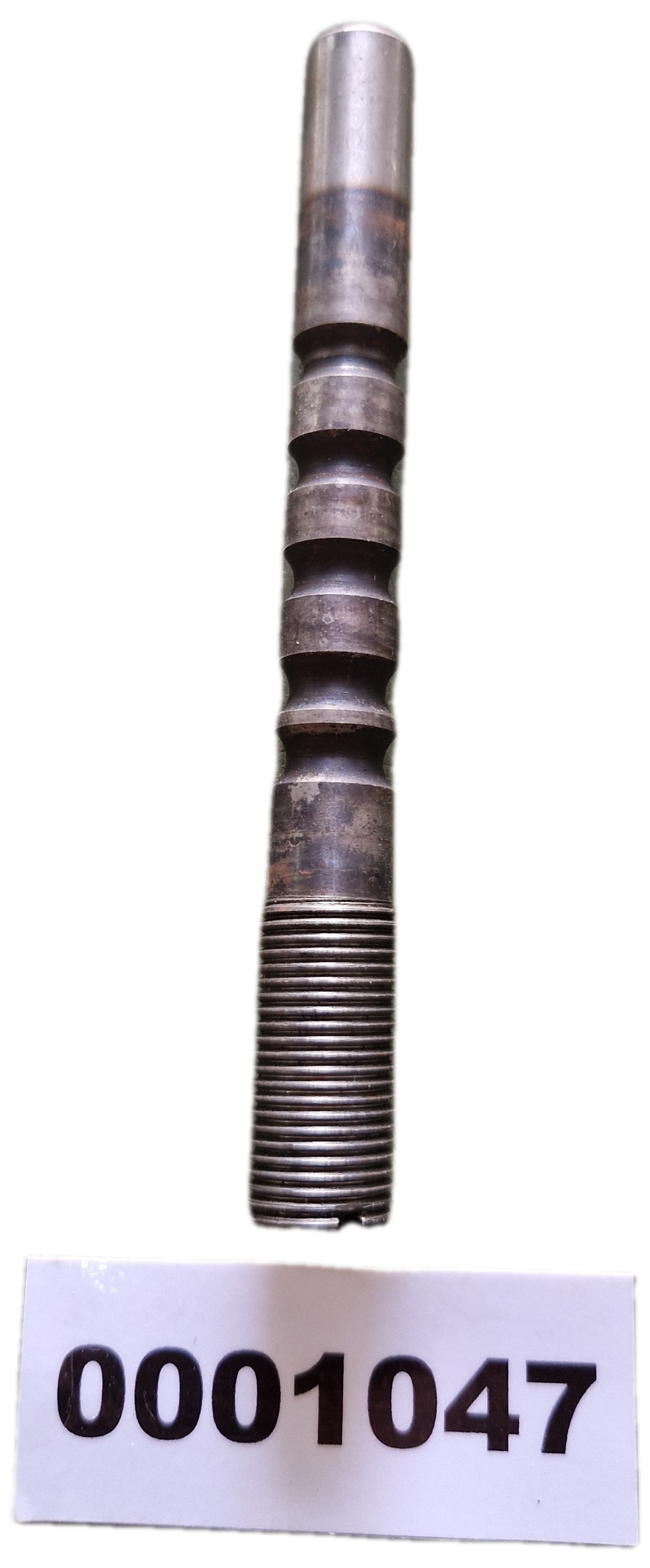 00001047 - Asta GOLDONI