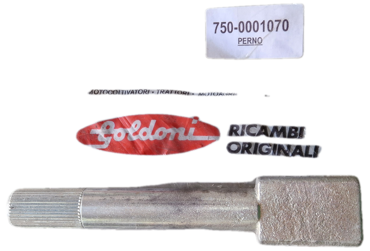 00001070 - Perno Espansione GOLDONI
