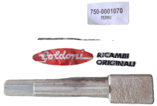 00001070 - Perno Espansione GOLDONI