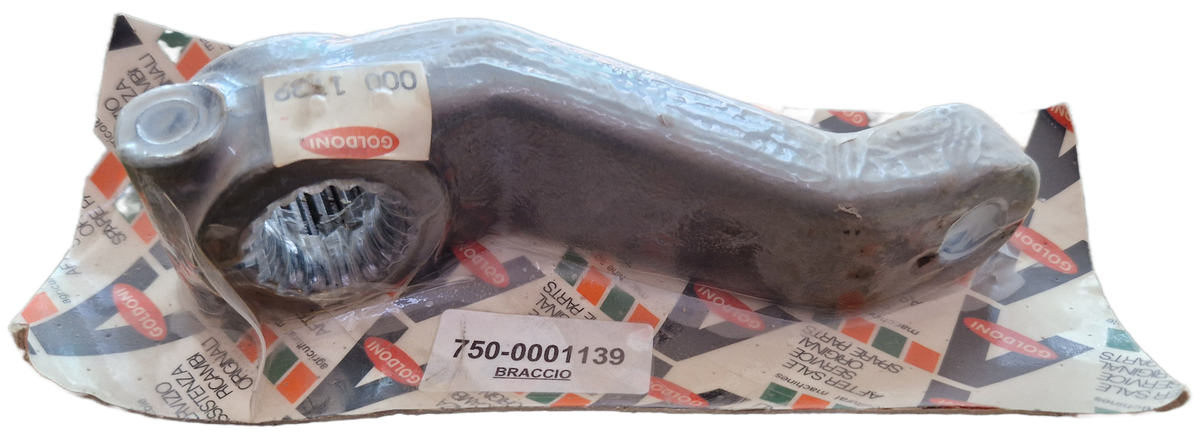 00001139 - Braccio GOLDONI