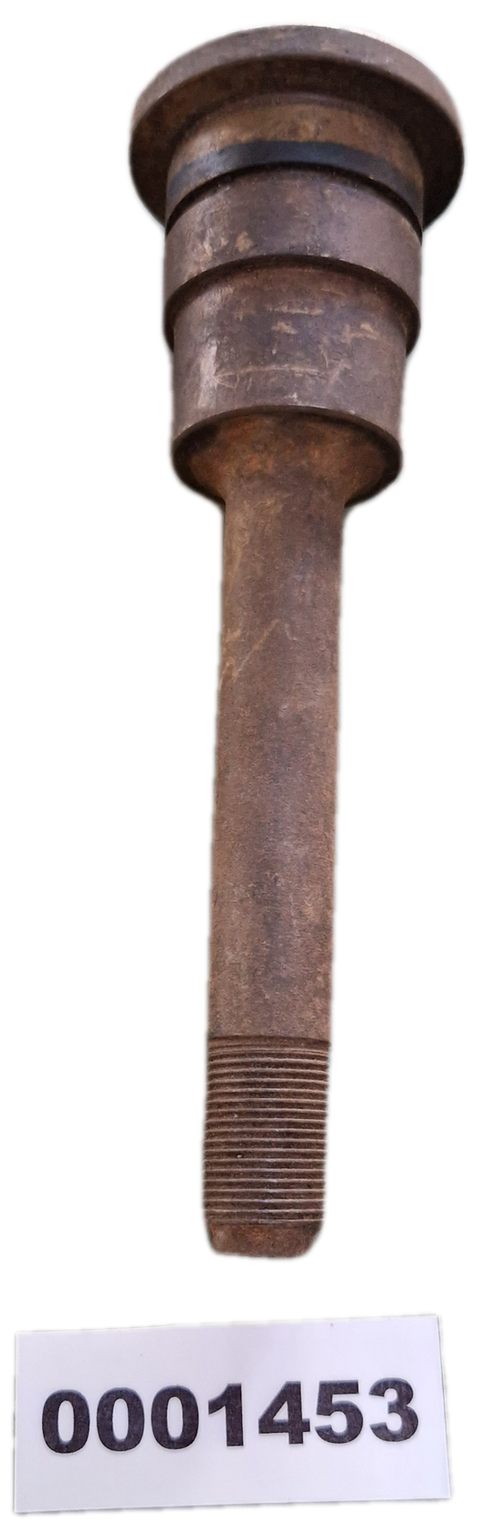 00001453 - Perno GOLDONI