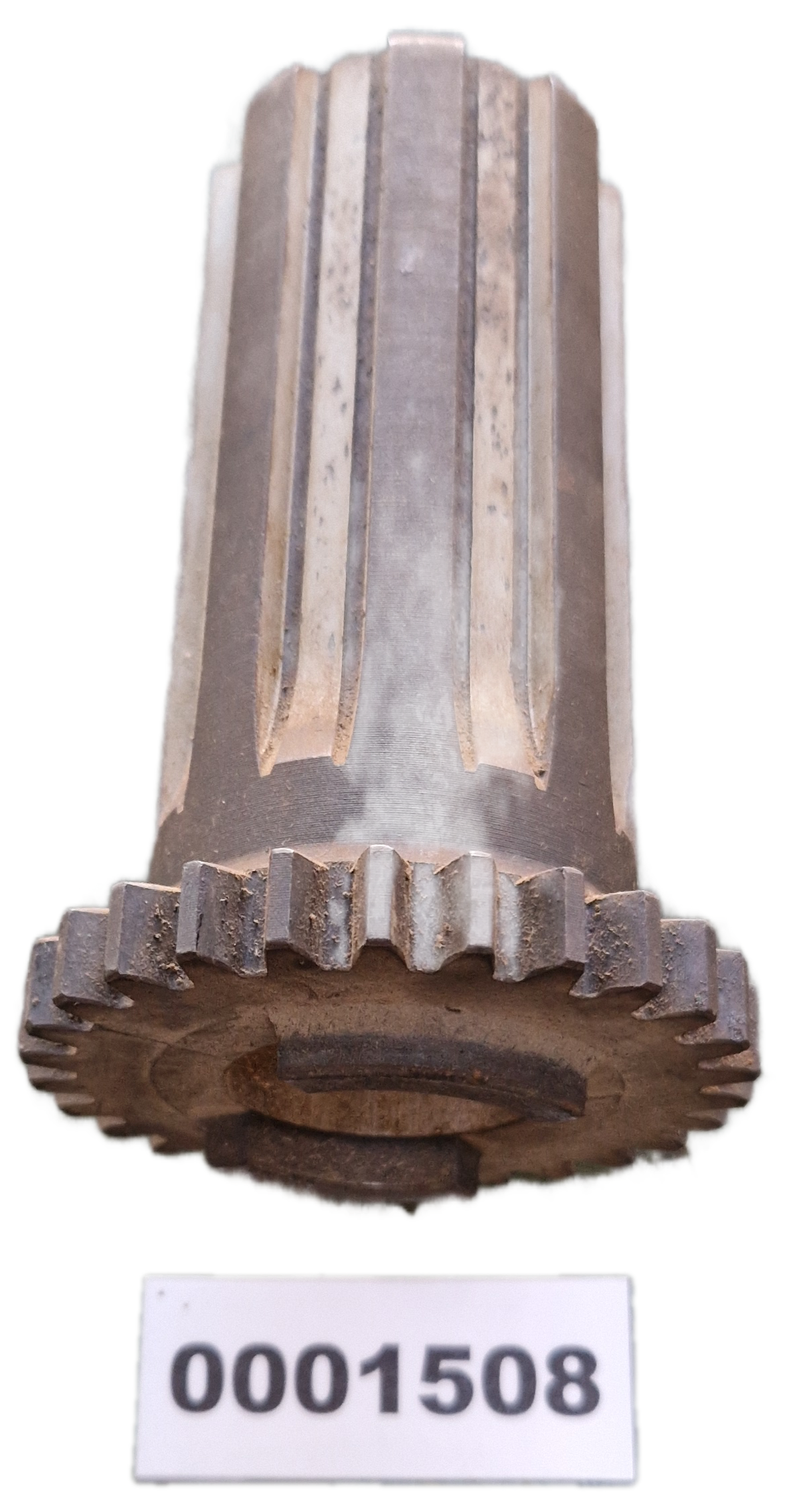 00001508 - Albero GOLDONI