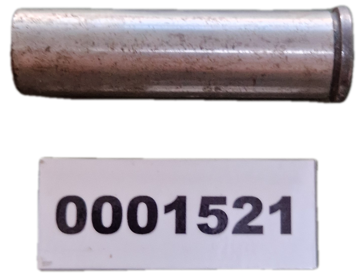 00001521 - Alberino GOLDONI