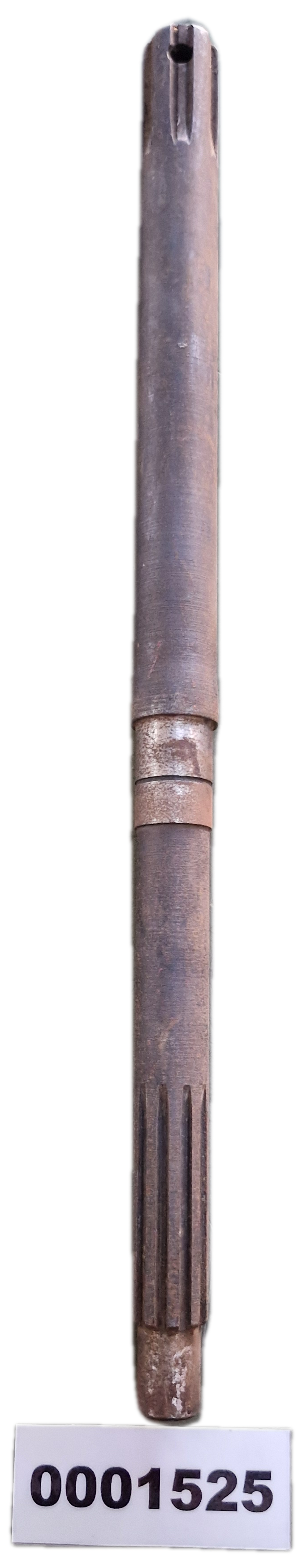00001525 - Asta GOLDONI