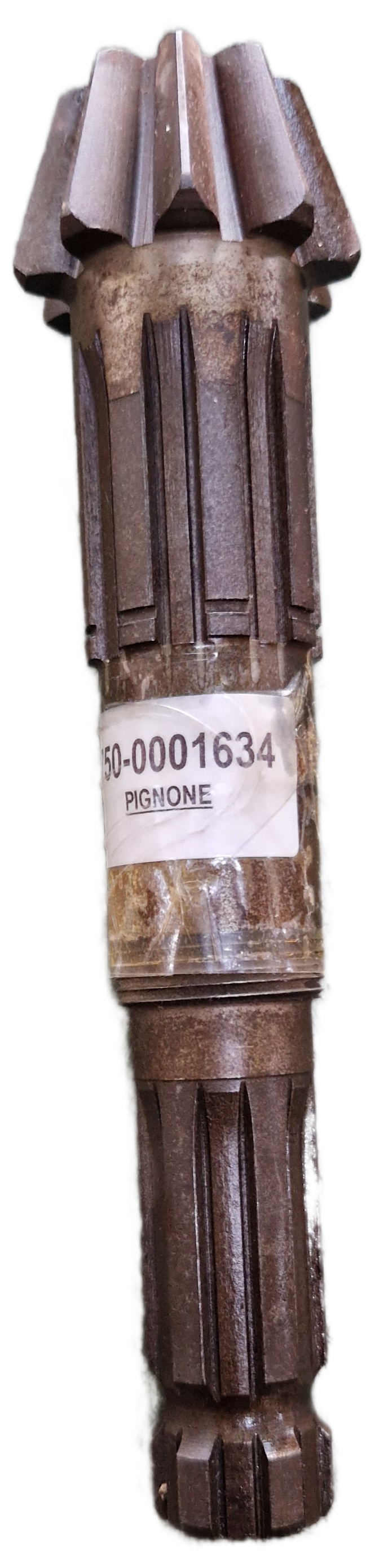 00001634 - Pignone GOLDONI