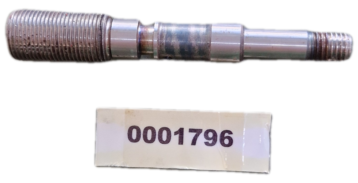 00001796 - Perno GOLDONI