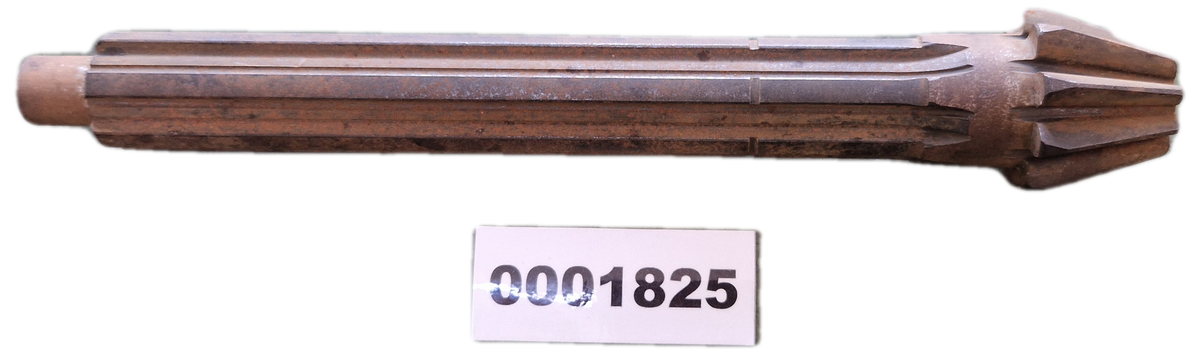 00001825 - Pignone GOLDONI