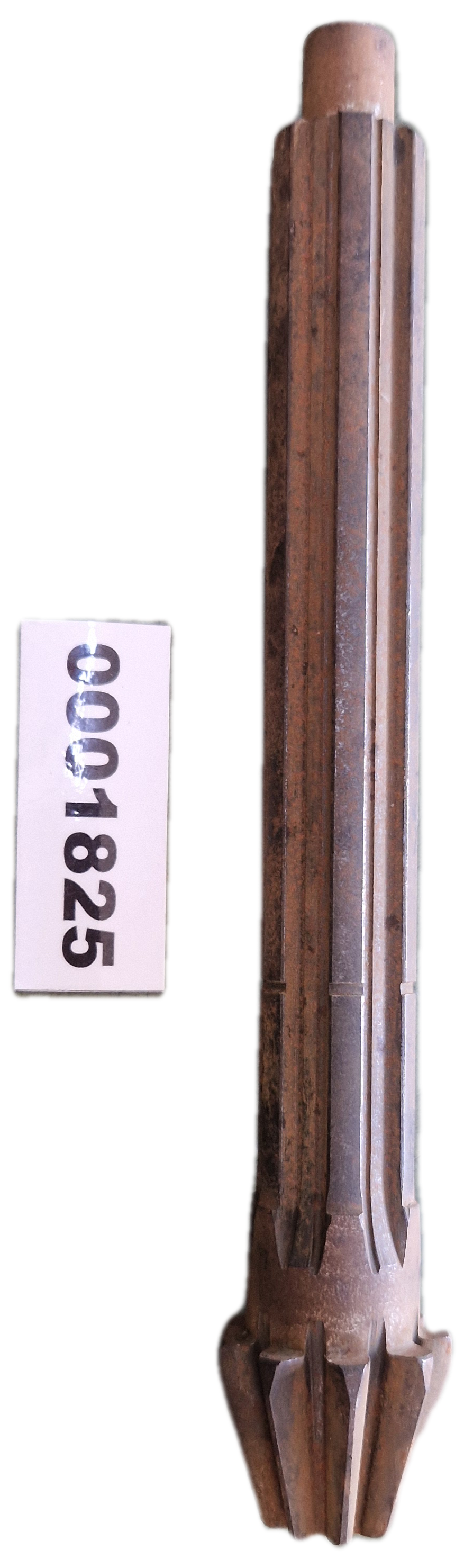 00001825 - Pignone GOLDONI