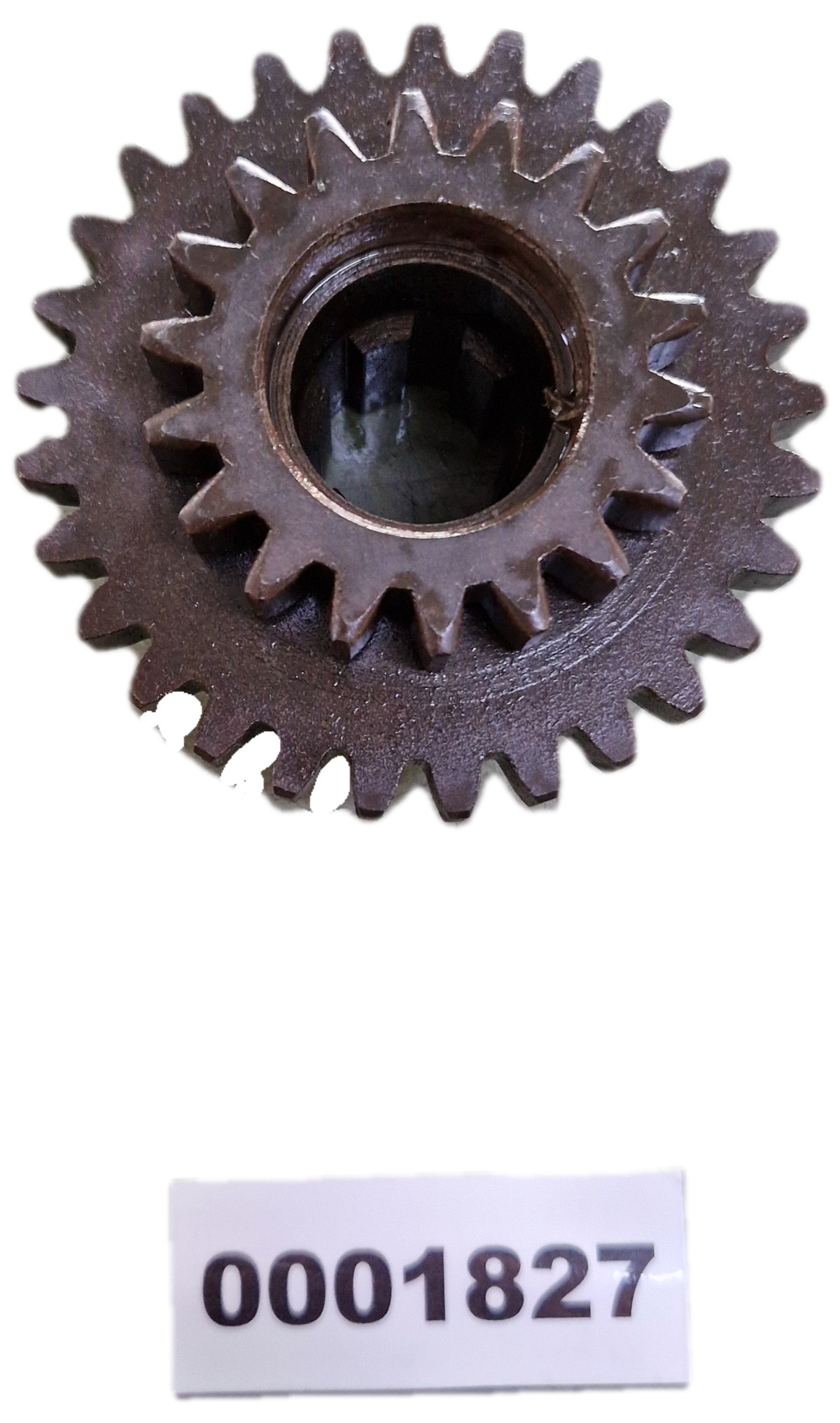 00001827 - Ingranaggio GOLDONI