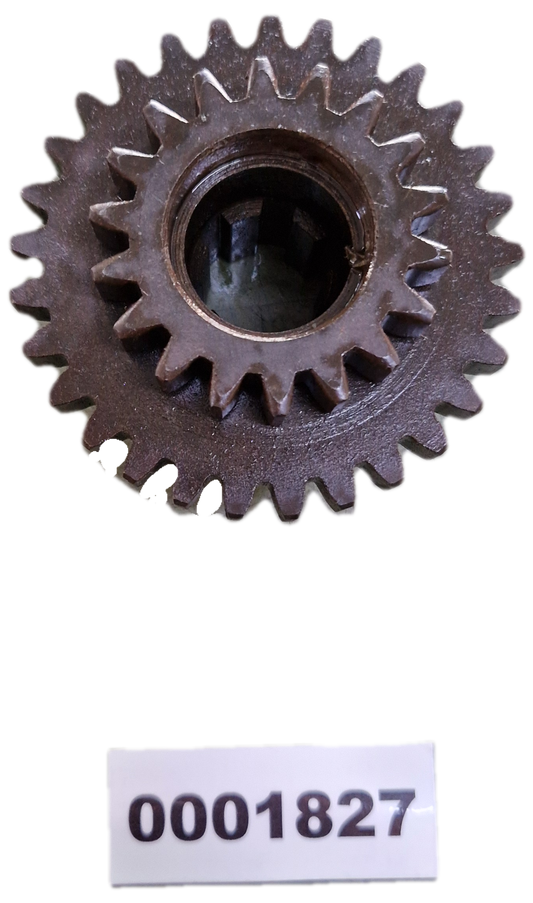 00001827 - Ingranaggio GOLDONI