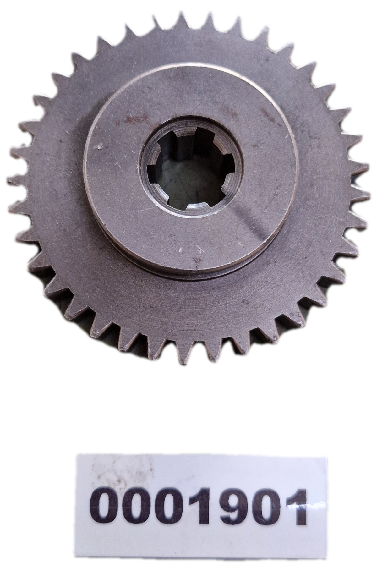00001901 - Ingranaggio GOLDONI