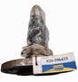 596433-Asse ruota NEW HOLLAND