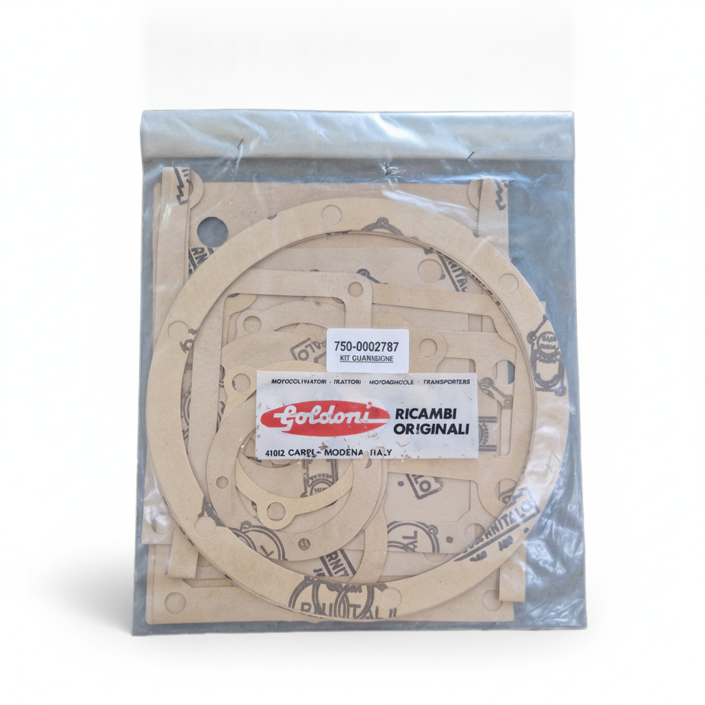 00002787 - Kit Guarnizioni GOLDONI