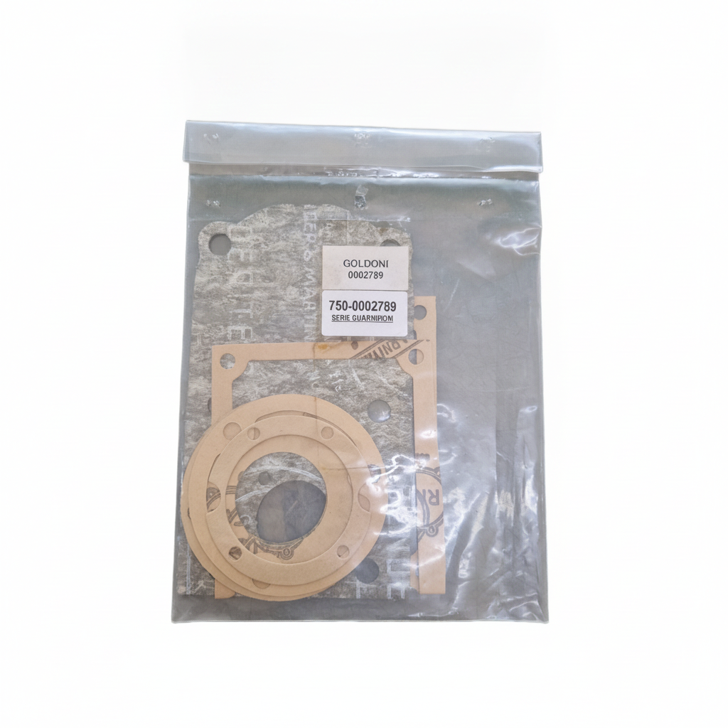 00002789 - Kit Guarnizioni GOLDONI