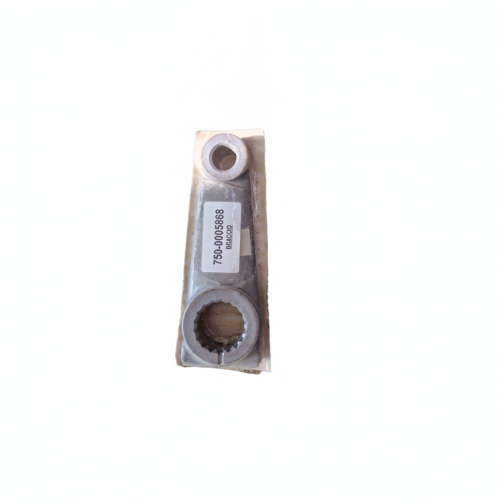 00005868 - Braccio GOLDONI