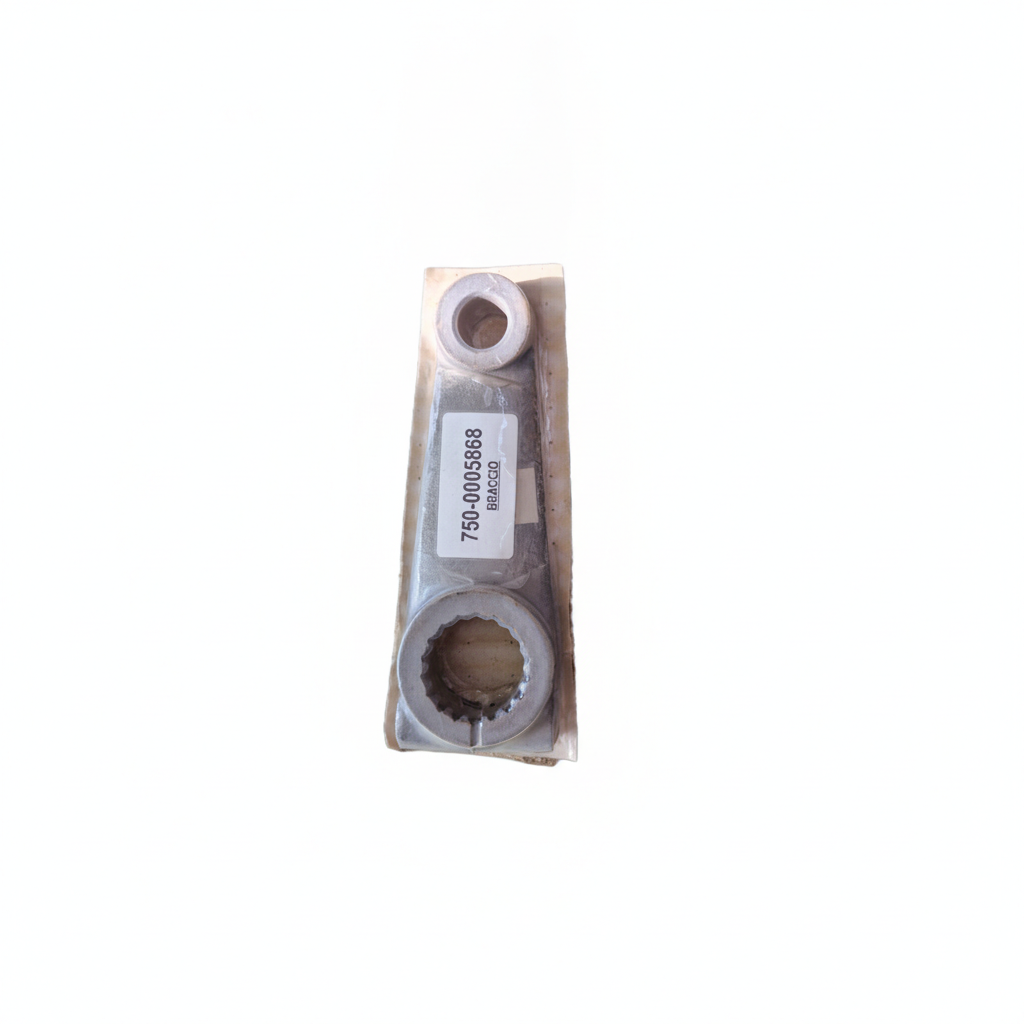 00005868 - Braccio GOLDONI