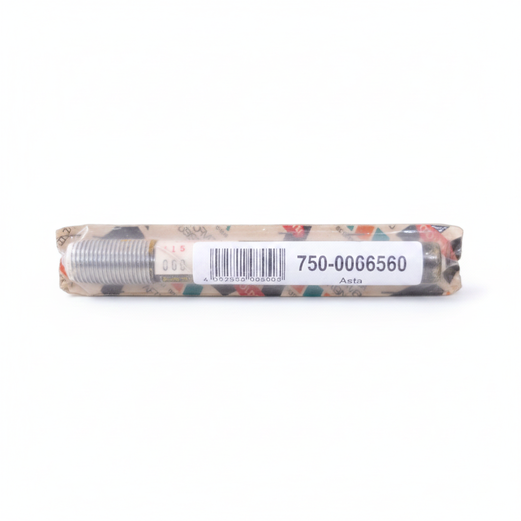 00006560 - Asticina GOLDONI