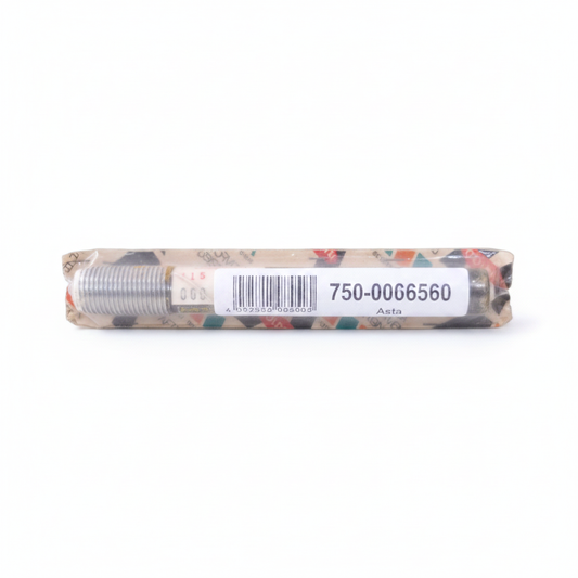 00006560 - Asticina GOLDONI
